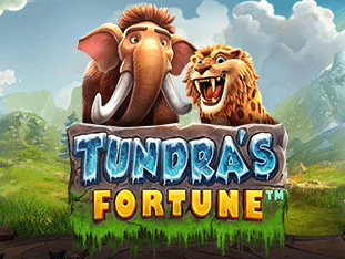 Tundra’s Fortune™ game thumbnail
